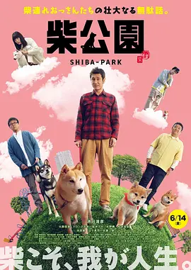 主题性